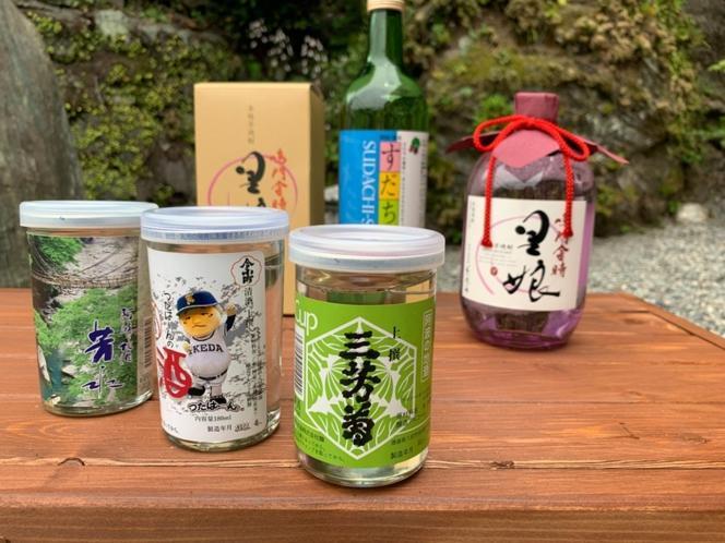 Iya Kankou Ryokan 미요시 외부 사진