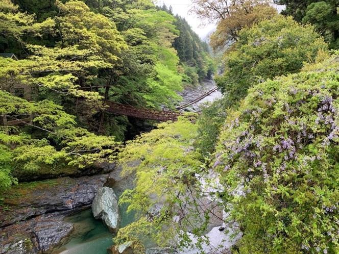 Iya Kankou Ryokan 미요시 외부 사진