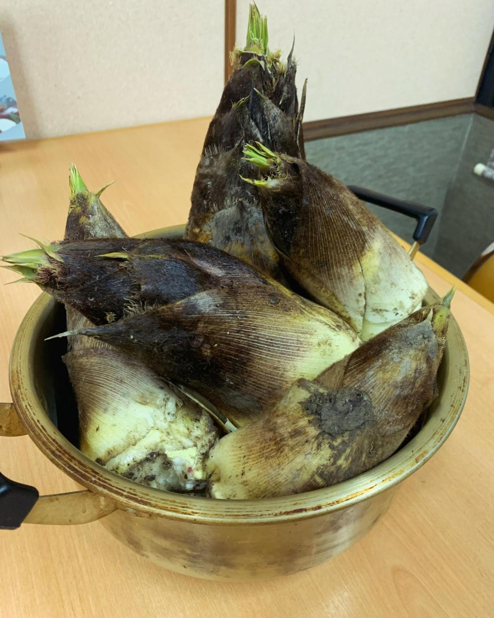 Iya Kankou Ryokan 미요시 외부 사진