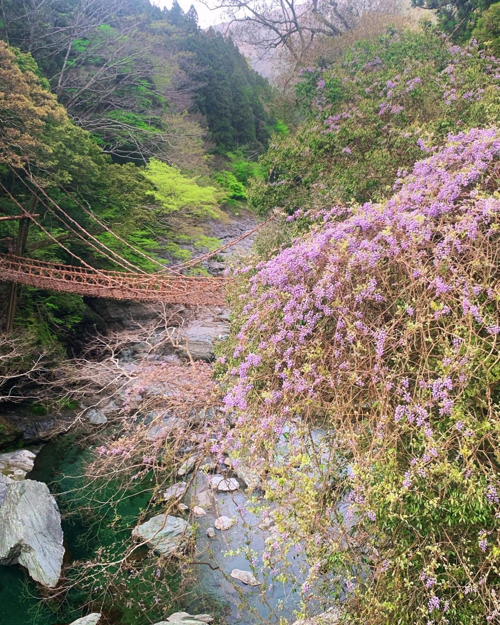 Iya Kankou Ryokan 미요시 외부 사진